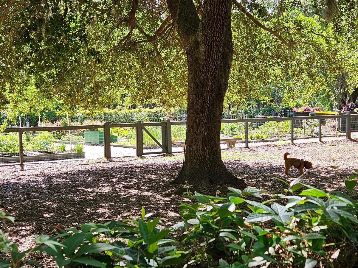 Low Country Cottage In Beautiful Habersham Beaufort Esterno foto