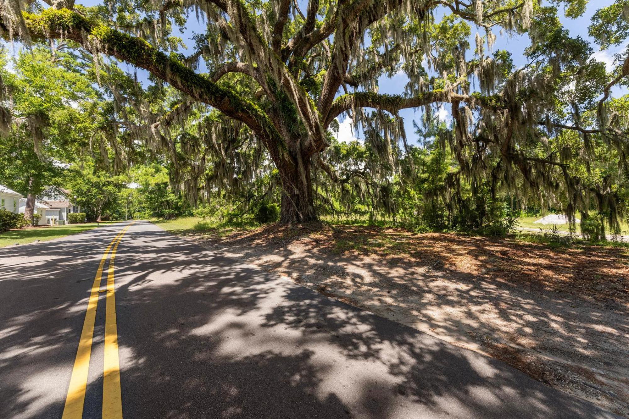 Low Country Cottage In Beautiful Habersham Beaufort Esterno foto